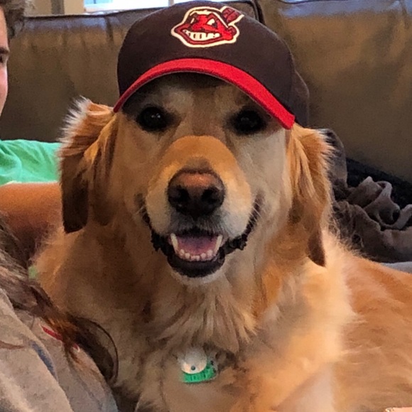 Meet your Posher, Heather - Picture 2 of 2